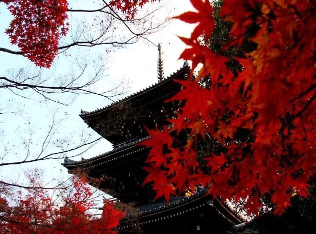 펜션 My Kyoto Pied A Terre Ninoan 빌라 일본